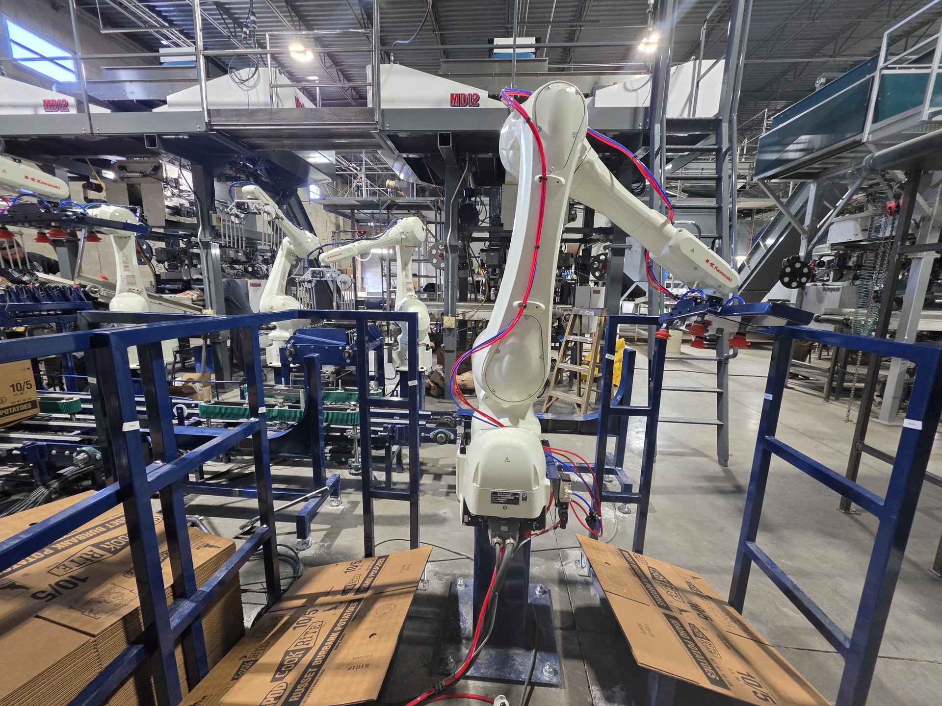 Kawasaki palletizing robot